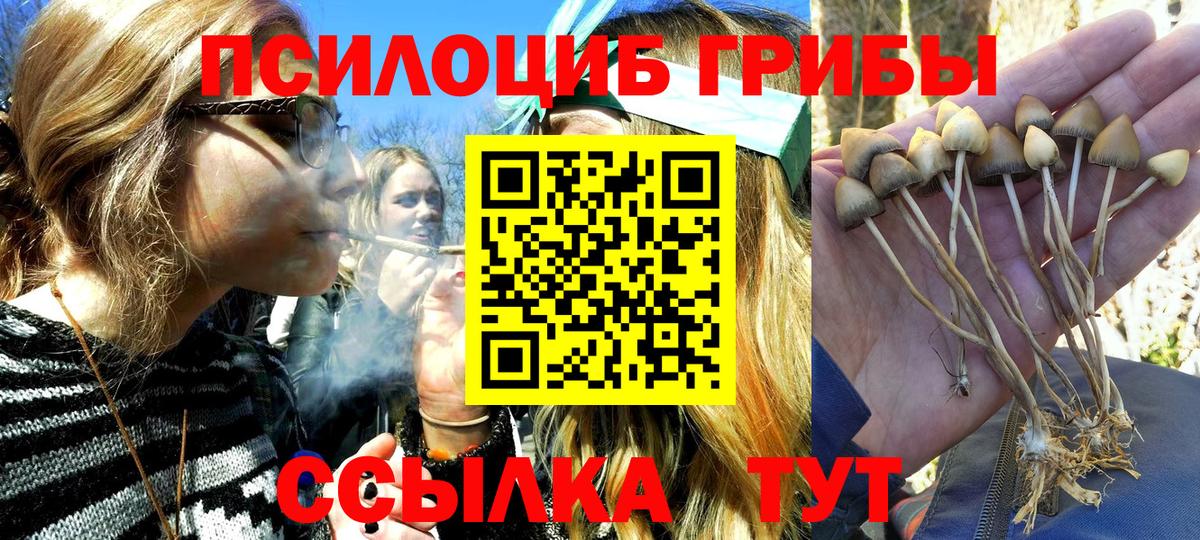 Галлюциногенные грибы мухоморы  Вход с VPN  Чайковский 